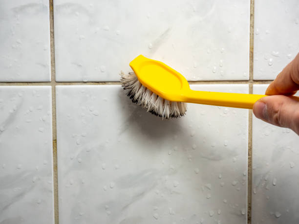 Best Water Damage Restoration  in Swannanoa, NC