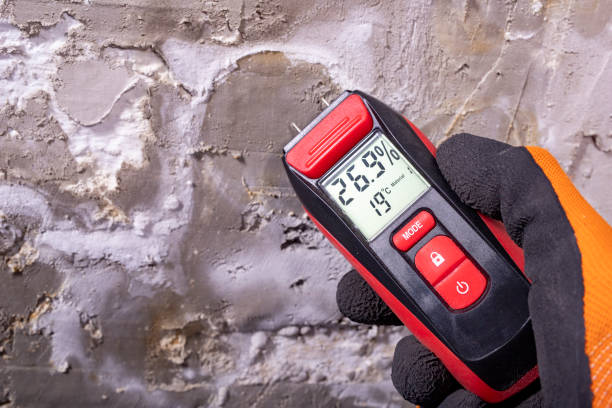 Best Mold Removal Company Near Me  in Swannanoa, NC