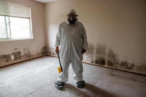 Best Mold Cleaning Services  in Swannanoa, NC
